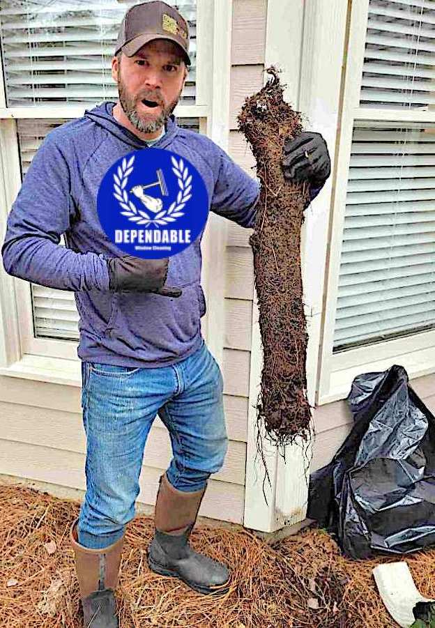 gutter cleaning buford