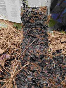 Gutter Leaks Online | How to fix gutter leaks | gutter leaks between gutter and house | how to repair gutter leaks
