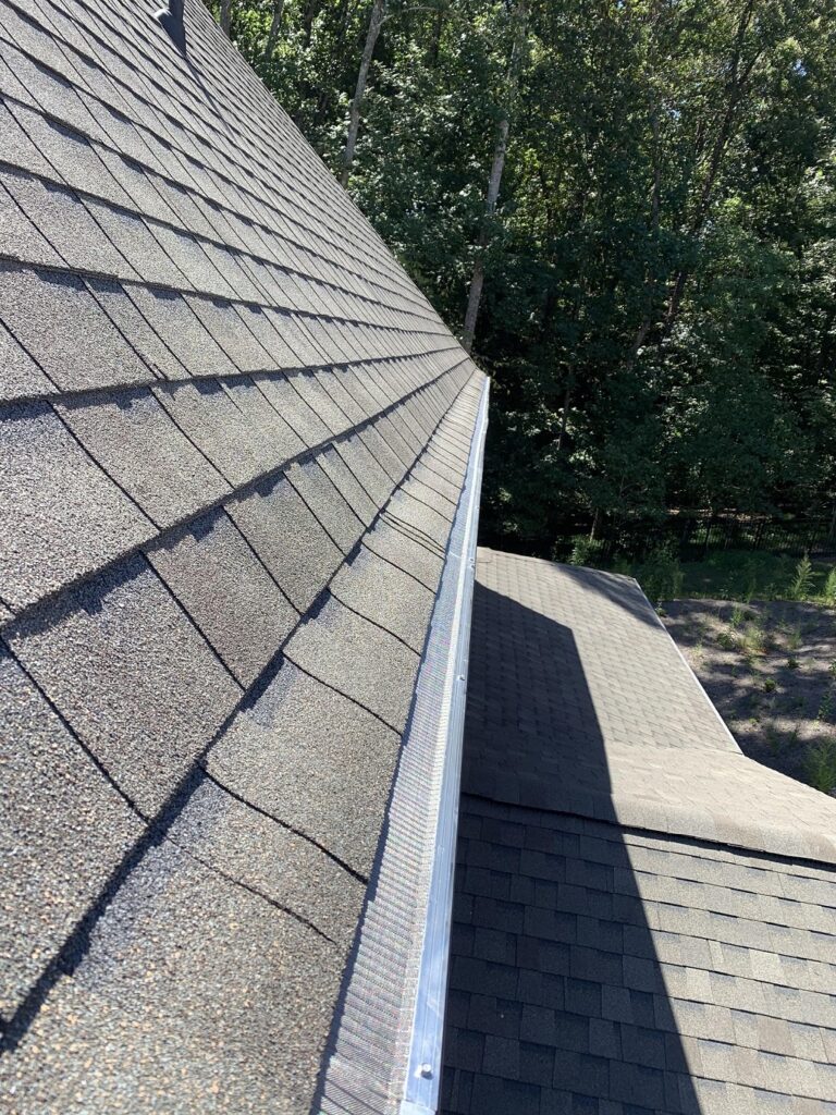 gutter cleaning services