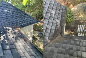 Clogged Gutters