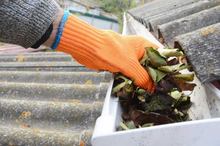 Gutter Cleaning in Suwanee