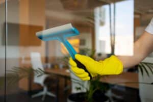 Window Cleaning Suwanee