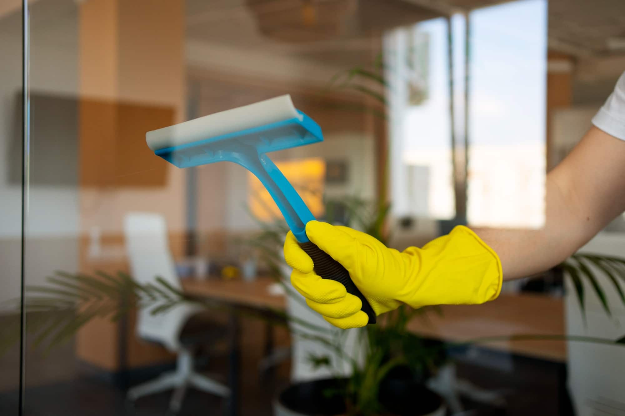 Window Cleaning Suwanee