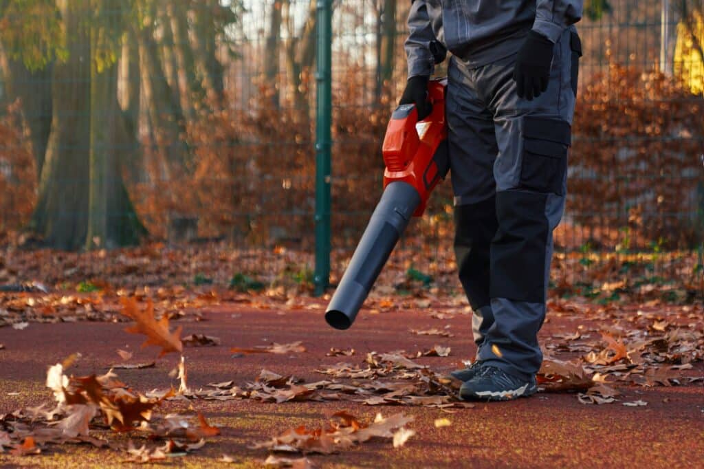 gutter cleaning Alpharetta